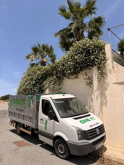 The tipper under a flowering wall