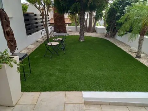 Courtyard lawn under the palms