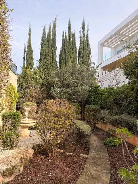 A winding path through a mature garden