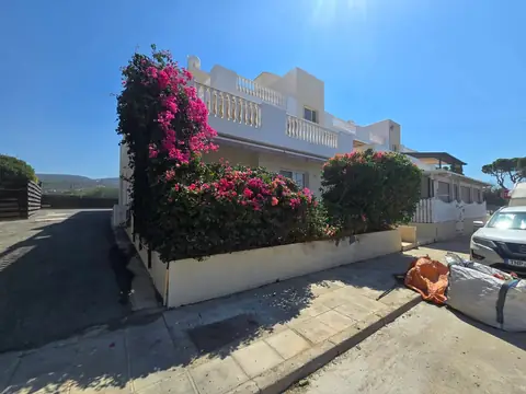Bougainvillea trimmed along the villa wall