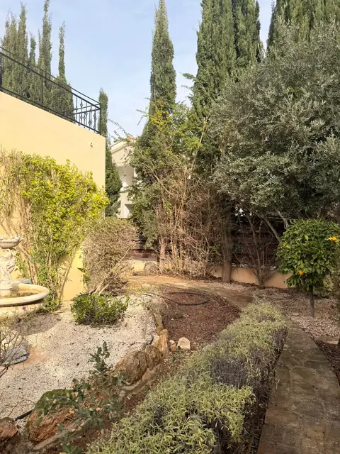 Terraced beds cut back and tidied