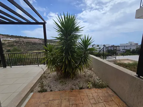 A yucca bed on a hillside terrace