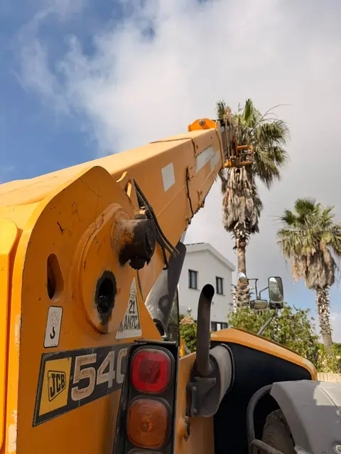 Telehandler lifting the crew up to a tall palm