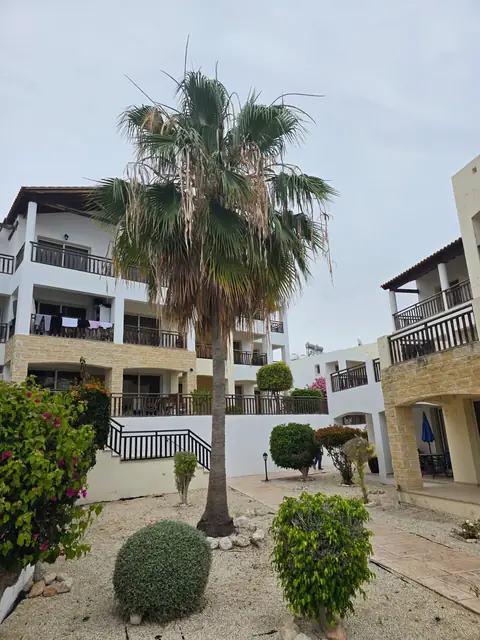 Complex gardens with a freshly dressed palm