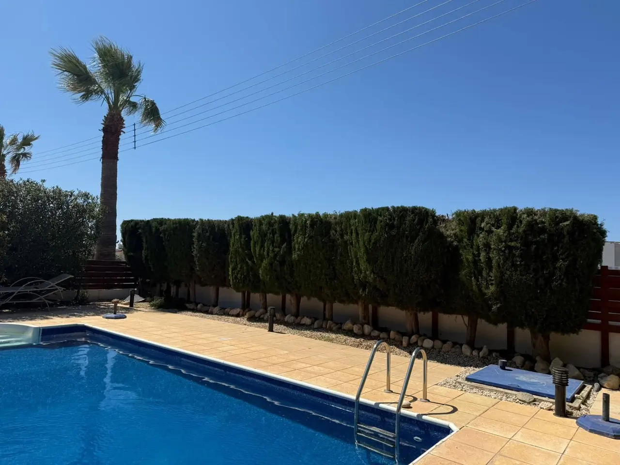 Long clipped conifer screen behind a villa pool