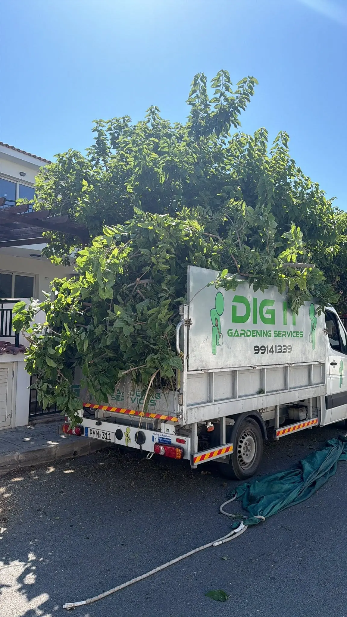 Dig it truck loaded with cut branches